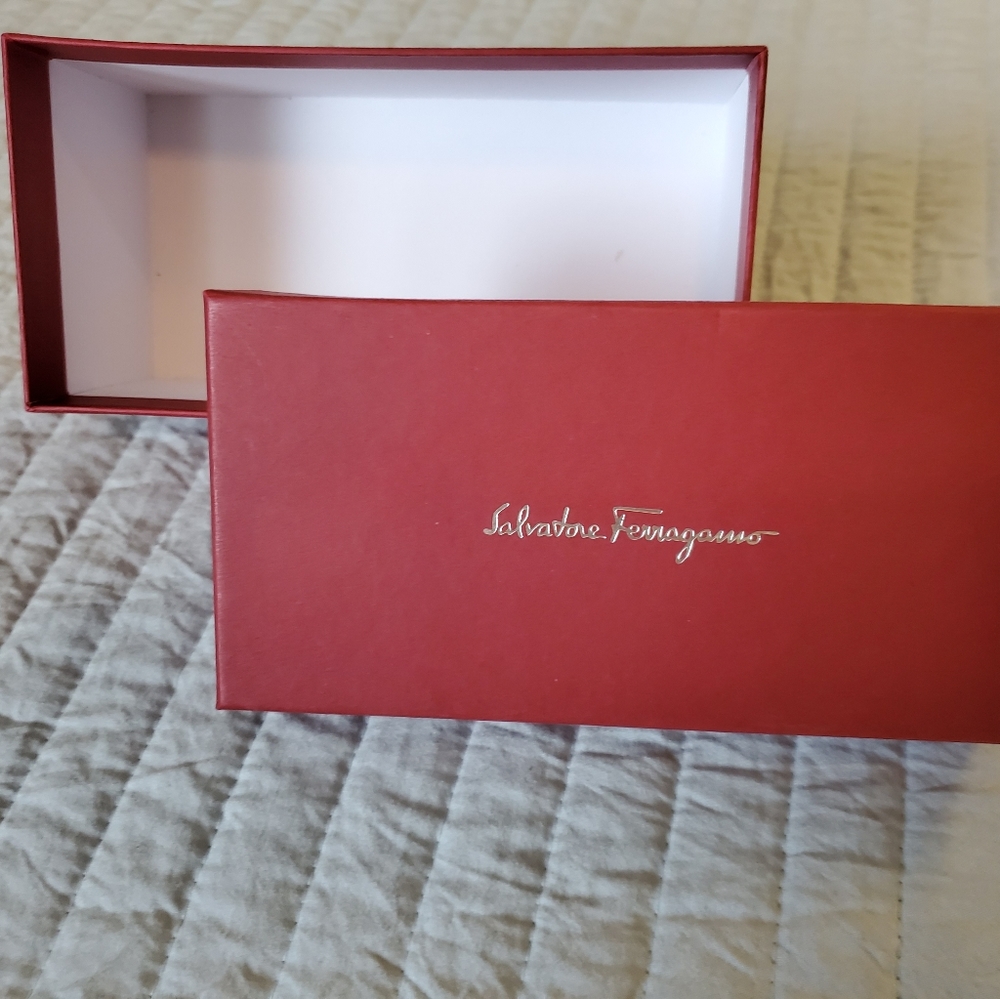 Salvatore Ferragamo Sunglasses Case